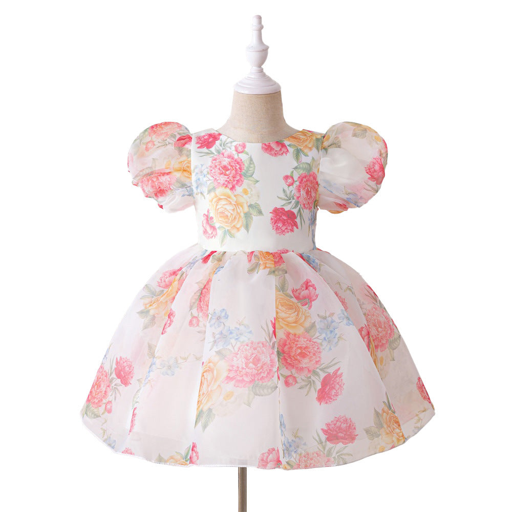 Europe and the United States new infant dress glass yarn printing bubble sleeve princess dress baby first birthday wash dress