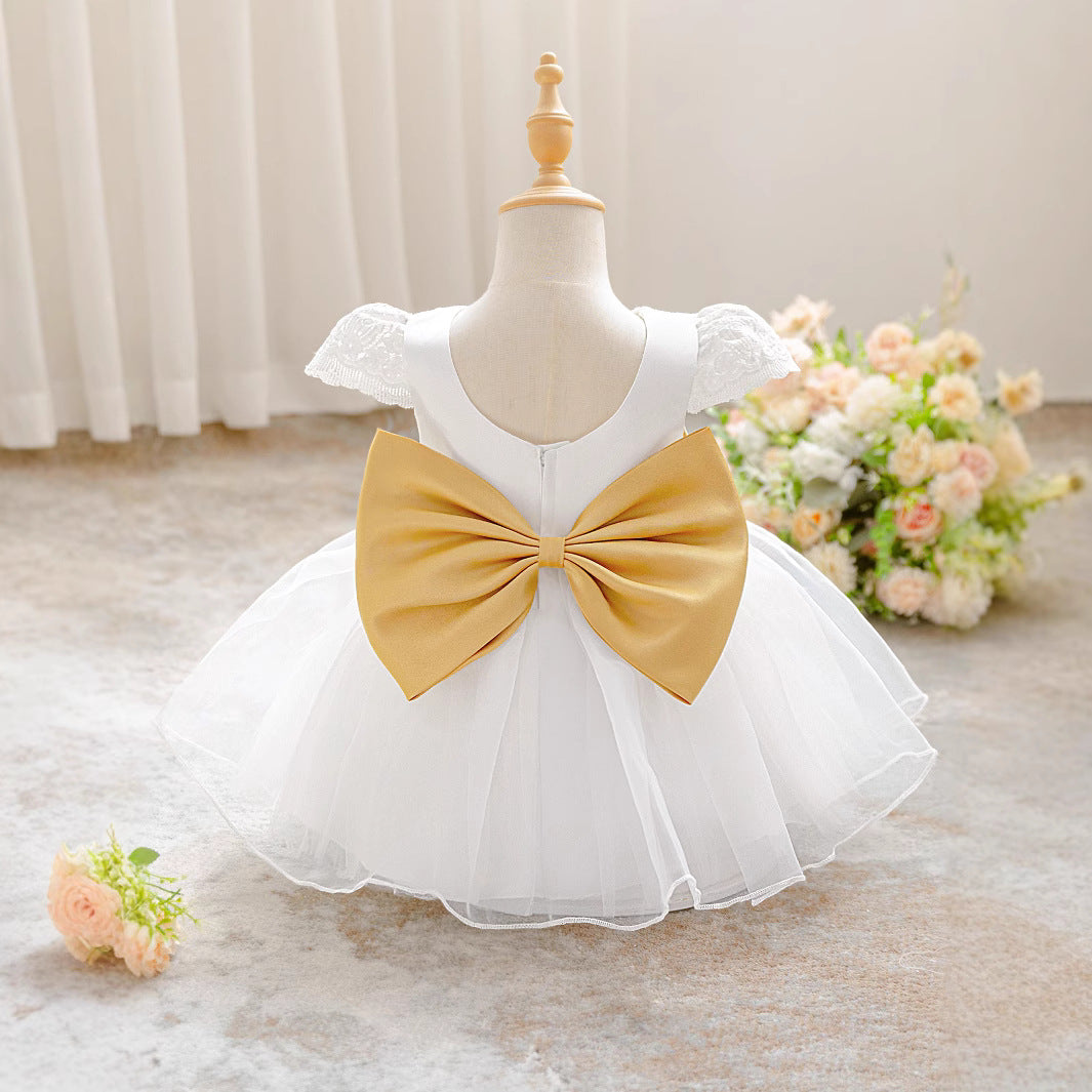 Cross-border new embroidery performance baby year-old party dress performance dress fluffy mesh skirt spot wholesale
