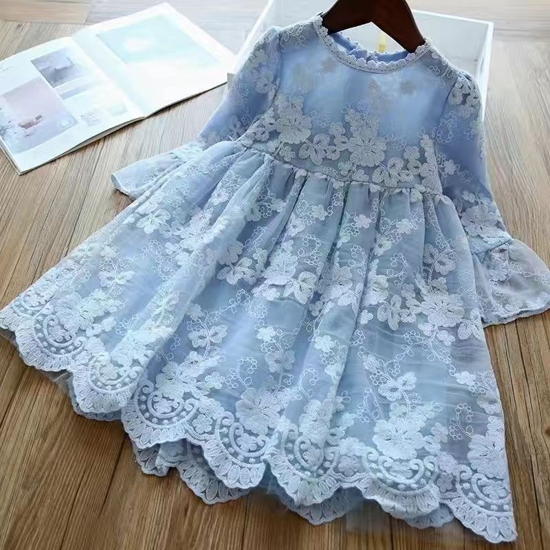 Lace Embroidered Princess Dress
