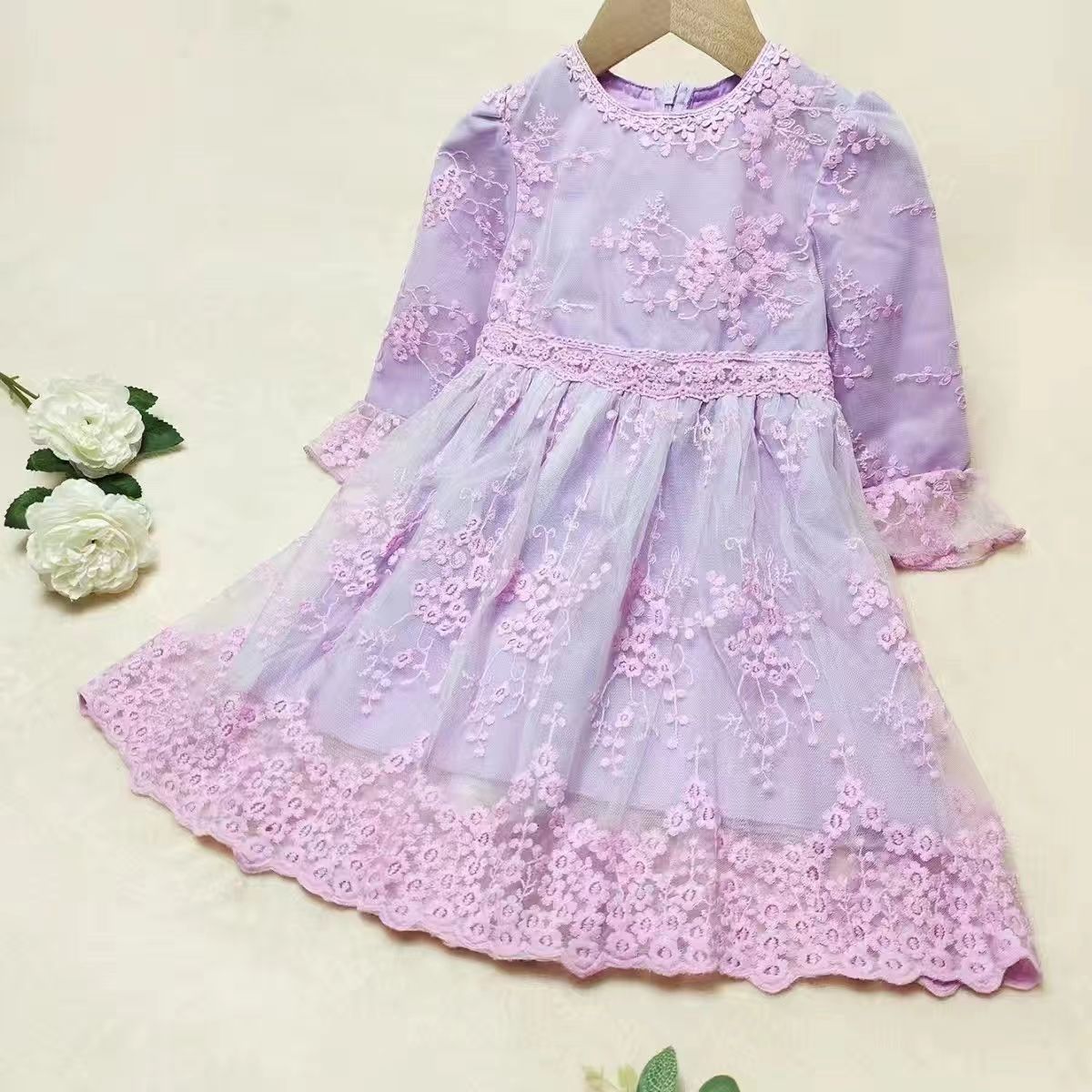 Lace Embroidered Princess Dress