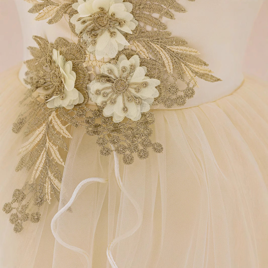 Amazon children's fluffy princess dress flower girl wedding dress girl baby grab week dress birthday party dress dress dress