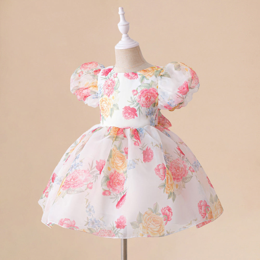 Europe and the United States new infant dress glass yarn printing bubble sleeve princess dress baby first birthday wash dress
