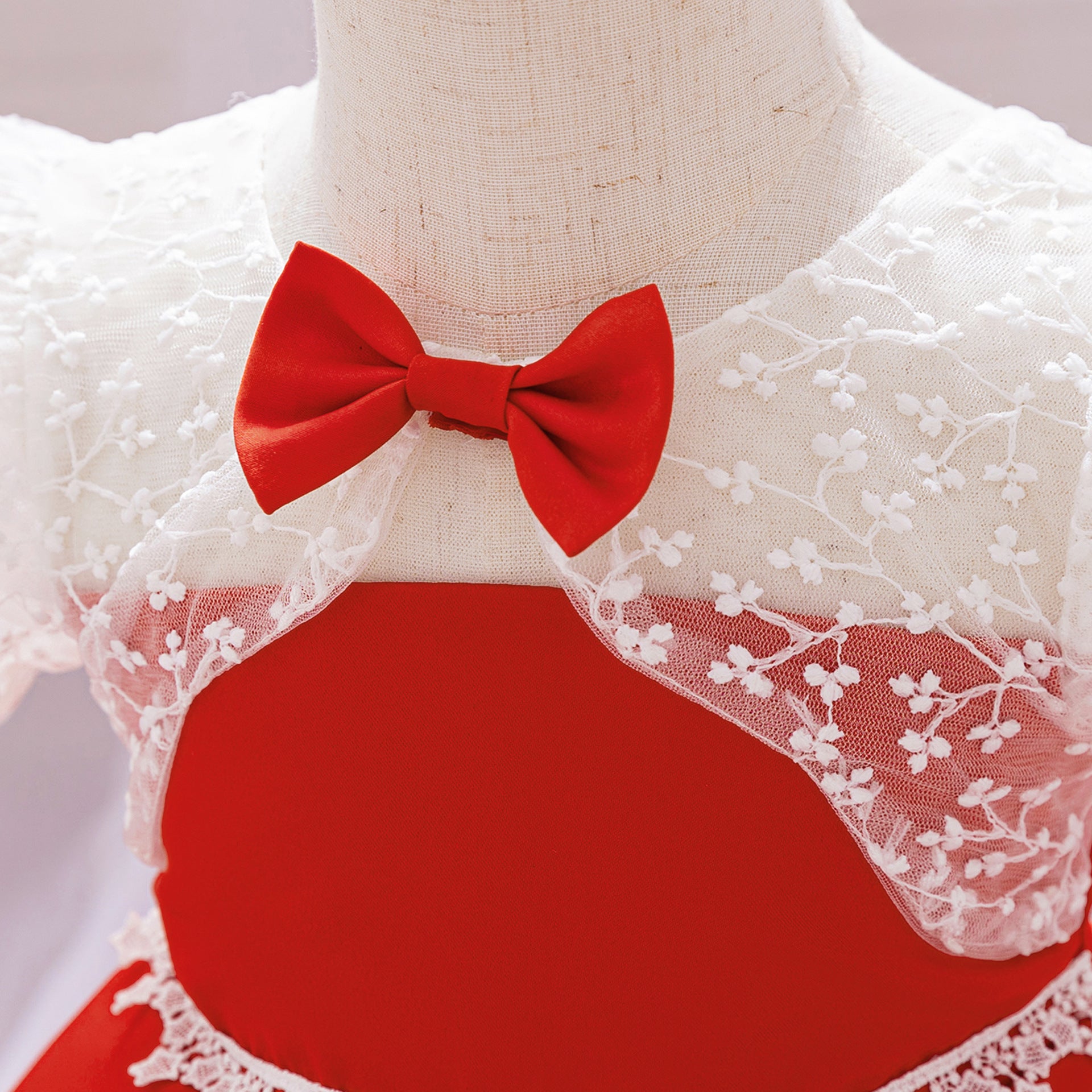 2024 New Girls Dress New Year Festival Girls Dress Lace Embroidered New Year's Dress Flower Girl Dress