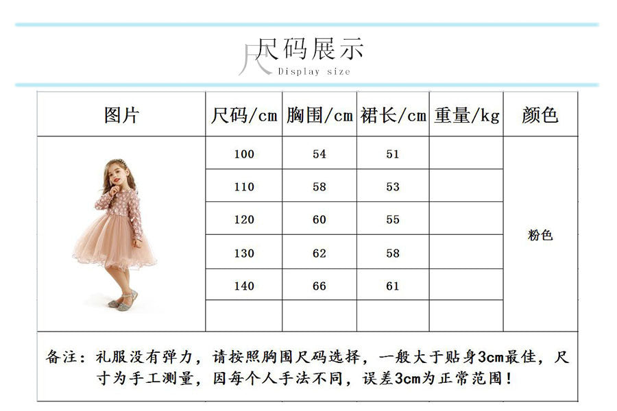Long Sleeve Princess Mesh Dress