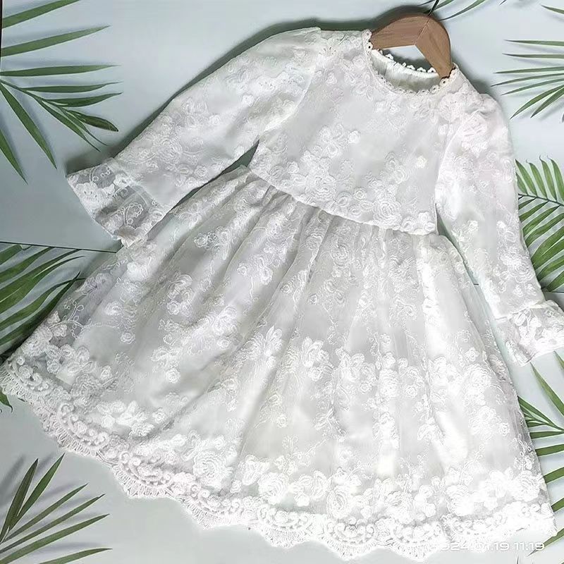 Lace Embroidered Princess Dress