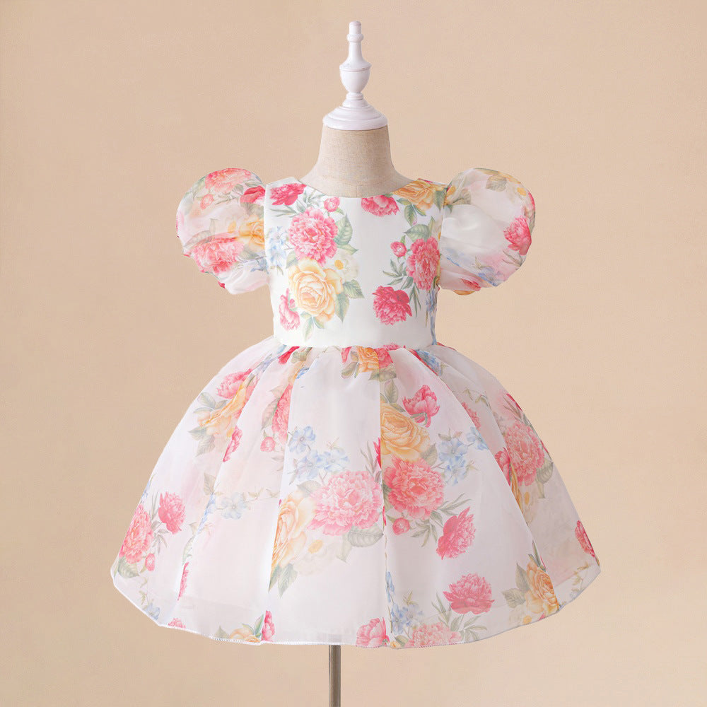 Europe and the United States new infant dress glass yarn printing bubble sleeve princess dress baby first birthday wash dress