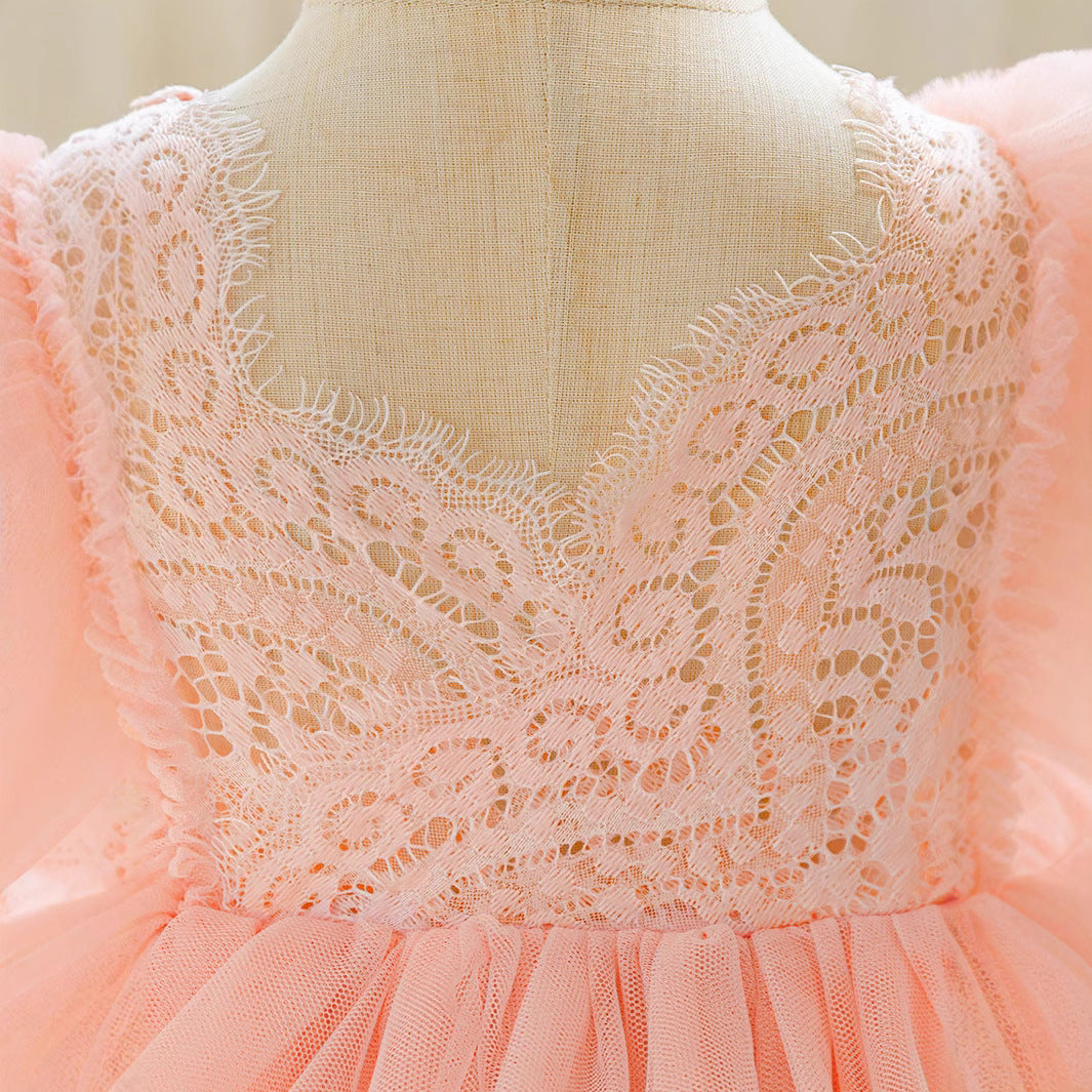 Girls baby puffy dress dress embroidered lace first birthday children's dress multi mesh cake princess dress